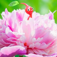 ✿ピクミンブルーム雑談✿