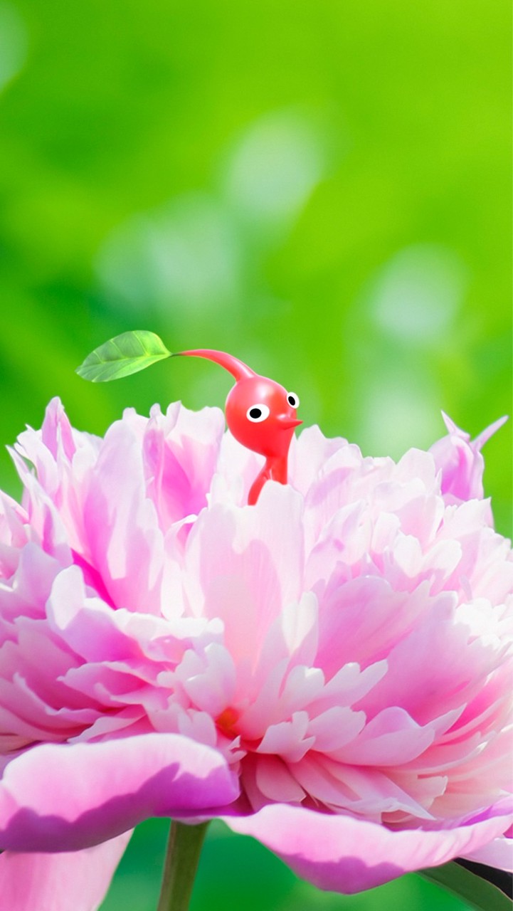 ✿ピクミンブルーム雑談✿養殖ガチ勢部屋あります🌷