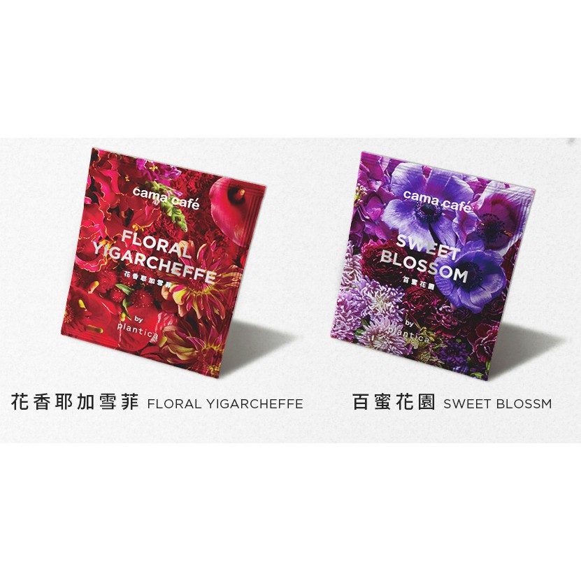 【cama cafe x plantica】限量聯名濾掛式咖啡(10克X10包入) - 百蜜花園/花香耶加雪菲