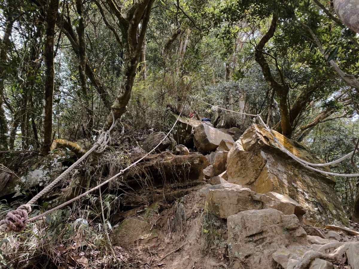 避暑祕境快收藏！苗栗６條免門票「私房步道」：羽量級小百岳、美國大峽谷