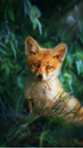 Hey カモン‼ そこのあなた
