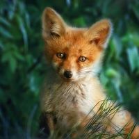 Hey カモン‼ そこのあなた