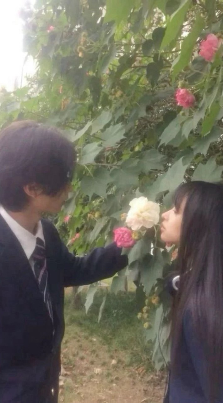 かなとかえで