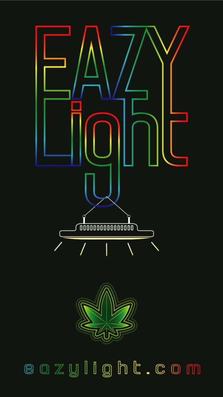 EAZY-LIGHT