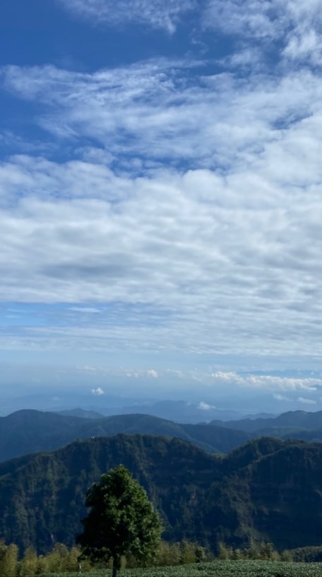 內柵烘培班
