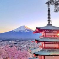 出國旅遊情報站✈️ | 機票清倉|促銷行程|每日更新