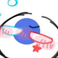 第2にこちオプチャ