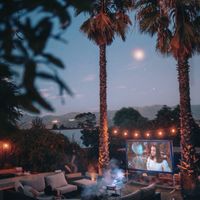 映画を見る会