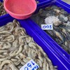 ของทะเลสดเพชรเกษม91
