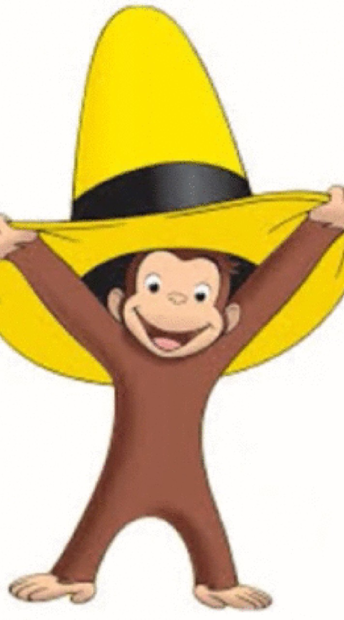 おさるのジョージ🐵