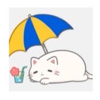 スヤリス