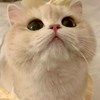 『学生限定』雑談、ゲーム好きな人集まってライトしよう！