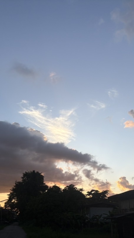 หลักการเกษตรสมัยใหม่_ทภ 1/1