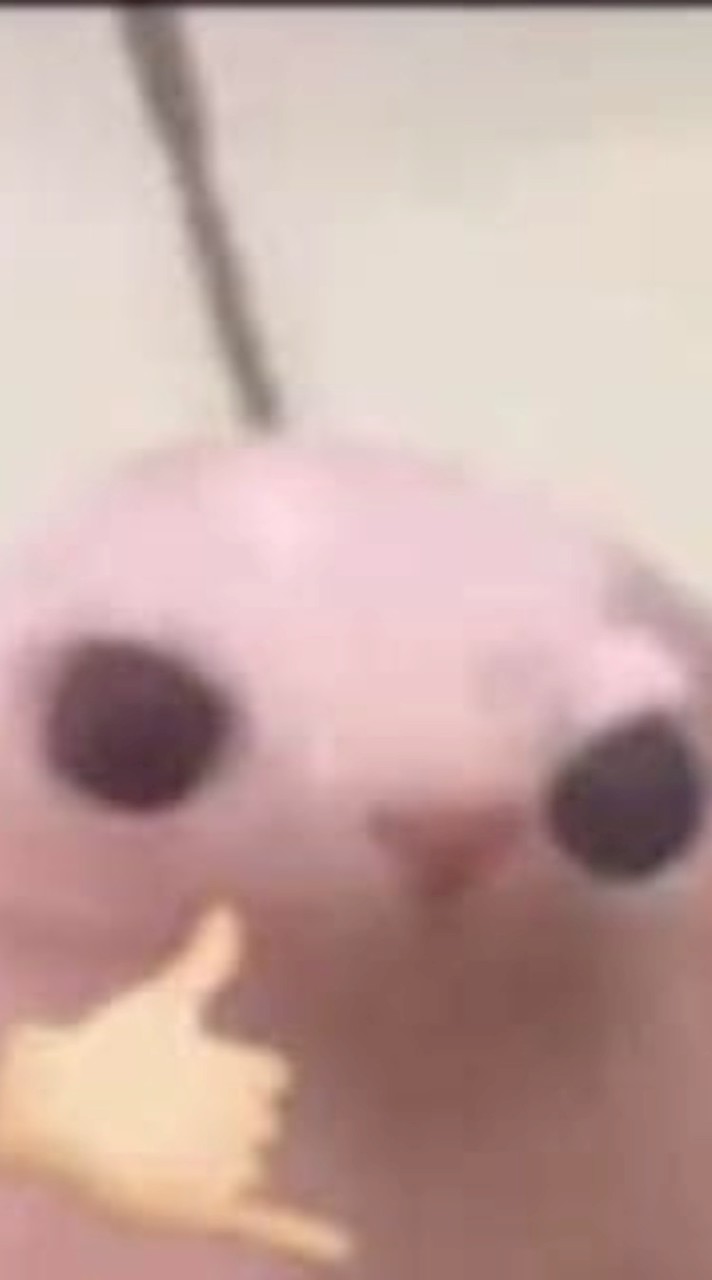 จะมีใครสักคนนึงเป็นเกย์