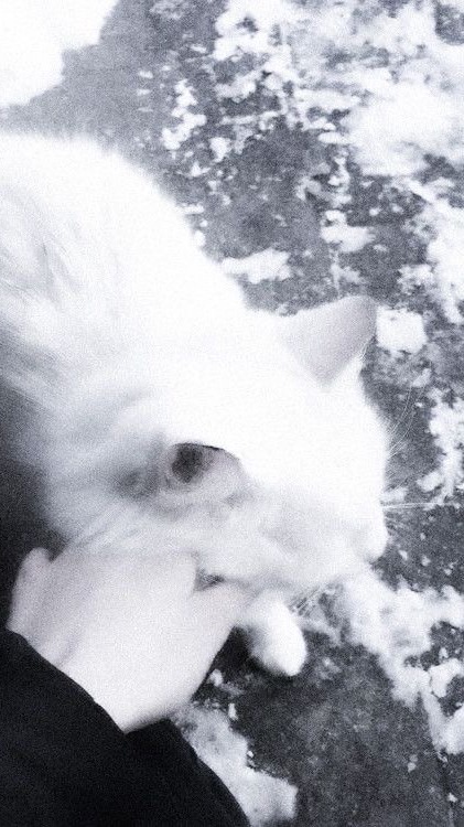 俺の隣にずっといて