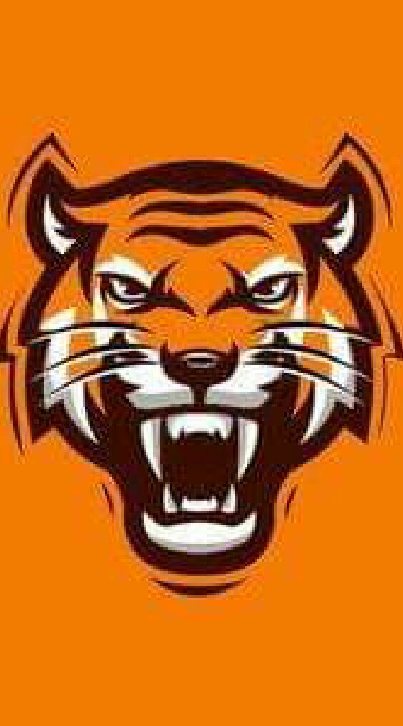 Tiger Gym Narathiwat