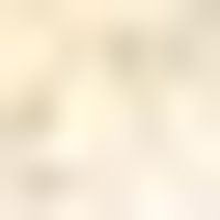 パラレルグループの通過点