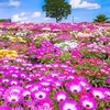 ⭐🎙🎧音楽free☕雑談🚨ニュース部屋