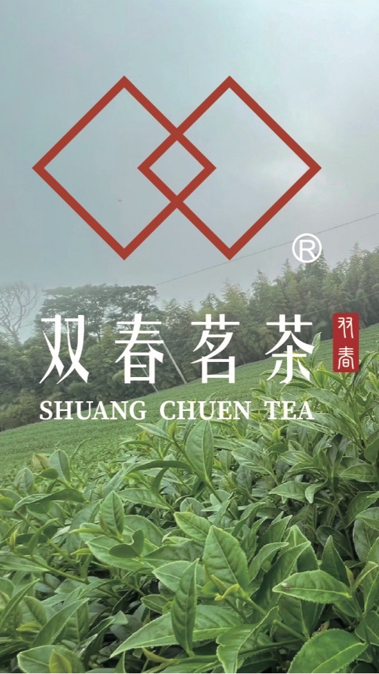 双春茗茶