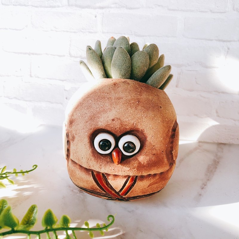 當陶藝遇上植物，最自在的邂逅，比鮮花陪伴你更久。底部特製排水孔，讓愛多肉的新手老手都能輕鬆上手：）