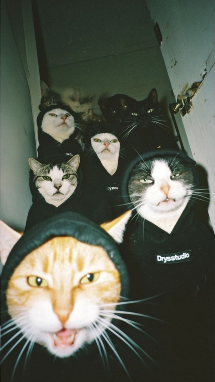 Lil Tom Su
