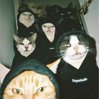 Lil Tom Su