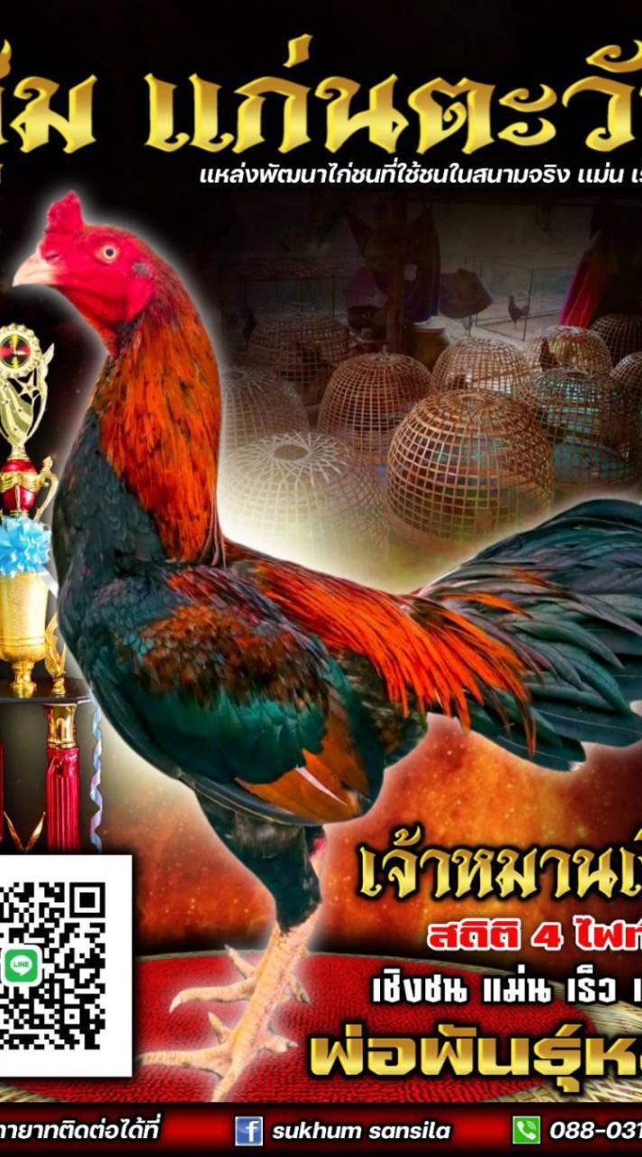 สุขุมวิทฟาร์ม บินดี ตีเจ็บ พม่าแข้งคมๆ