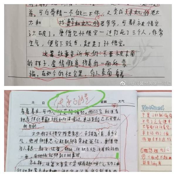 小五女童墜樓身亡 疑因教師批作文缺乏 正能量 家長求徹查真相讓孩子瞑目