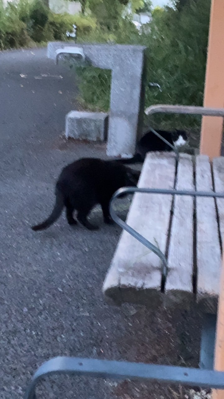 おいでね