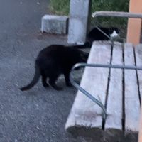 おいでね