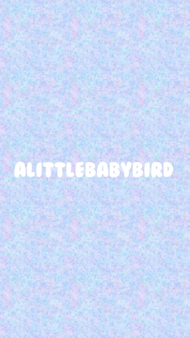 🥨alittlebabybird-Stray Kids相關代購