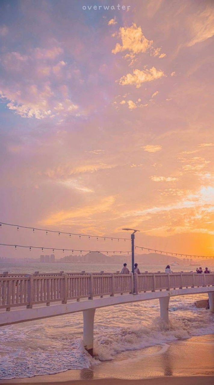 ღ• 陸 夜 映 澤 .⚝『宣拐群』