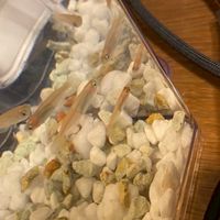 アクアリウム興味しかない人おいでーーー