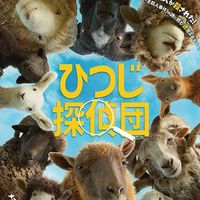 NO MOVIE NO LIFE🎥❤️ 【映画】