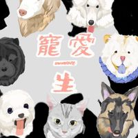 寵愛一生 寵物手做零食 生鮮 寵物用品 美容師用品