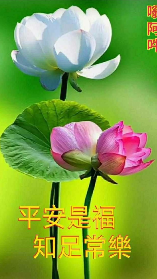 雲林房地委託租賃
