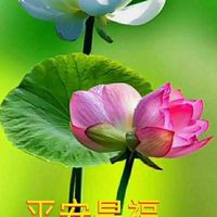 雲林房地委託租賃