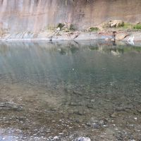 バス釣り〔多摩川〕