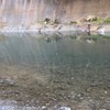 バス釣り〔多摩川〕