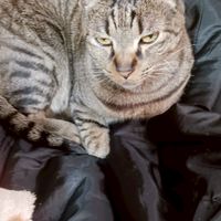 癒やし翔子の部屋