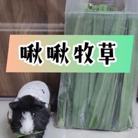 啾啾愛吃草/牧草販售