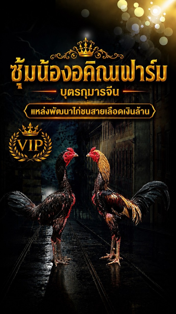 น้องอคิณสังกัดสลักชัยฟาร์ม