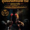 น้องอคิณสังกัดสลักชัยฟาร์ม
