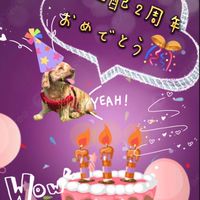 0523🌋やまちゃんプロ配2周年