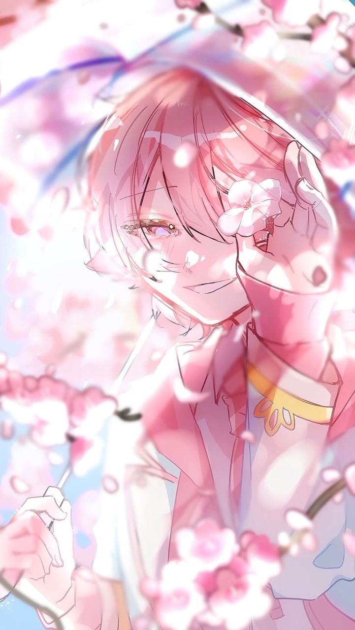 ❀.*ﾟ  花曇り  【 STPR nrkr .ᐟ‪ 】