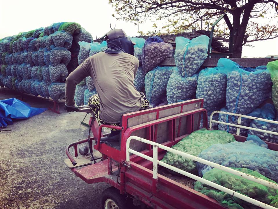 青年返鄉-妳好南搞-南國微醺-05