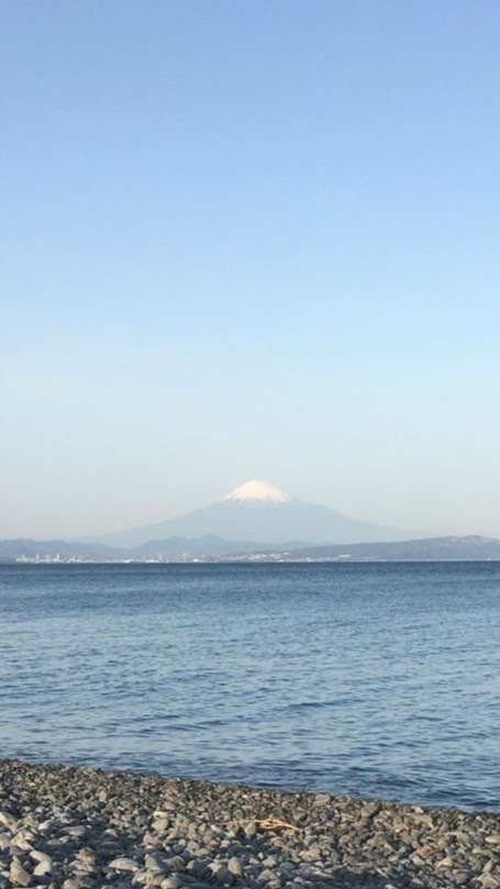 🐟釣り🐟初心者〜上級者のお部屋　なんでもok