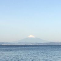 🐟釣り🐟初心者〜上級者のお部屋　なんでもok