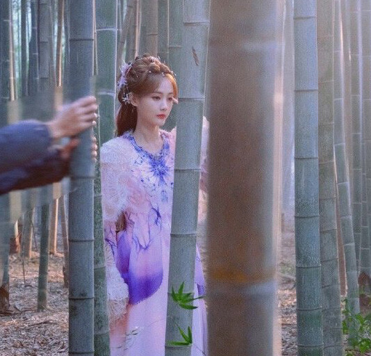 2024古裝劇10女神造型！楊紫富貴,趙露思夢回《長歌行》,劉詩詩比《一念關山》更美成仙