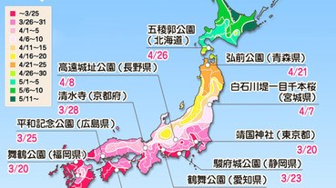Weathernews最新預測︰櫻花會在3月20日開始開花